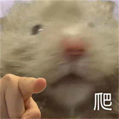 指人专用表情包下载最新版本