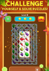 拼方块之王苹果版手机版