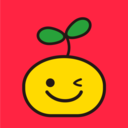 橘兜账本2023ios手机下载