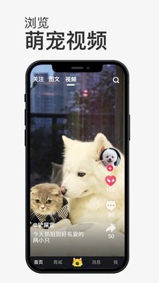 小宠书app最新下载