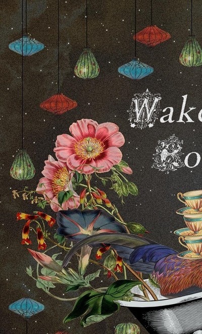 唤醒房间下载ios版本