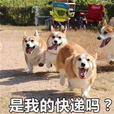 618等快递的你表情包2023版本下载