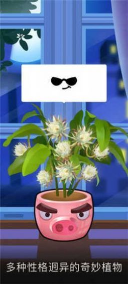 我有个花园苹果免费下载