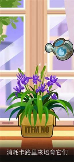 我有个花园苹果免费下载