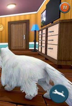 猫和女仆苹果下载免费版