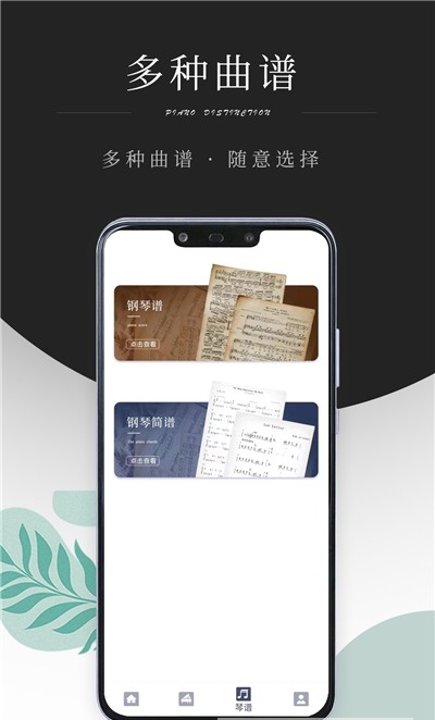 钢琴考级最新版本下载