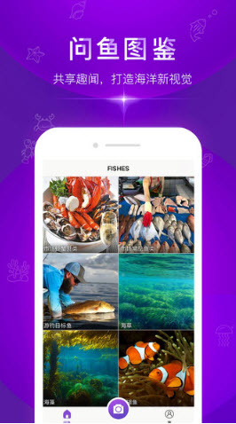 拍照识别鱼品种安卓版下载