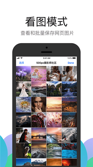 alook浏览器ios免费版
