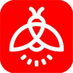 火萤动态壁纸下载安装安卓版