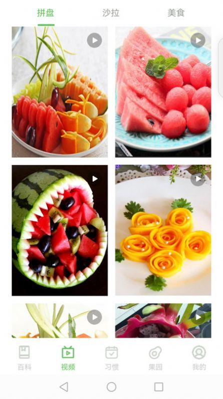 智慧百科手机下载