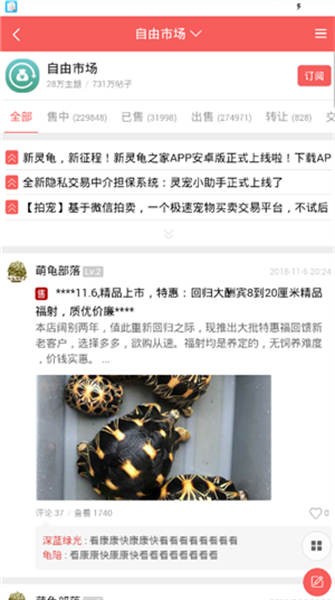 灵龟之家app安卓版下载