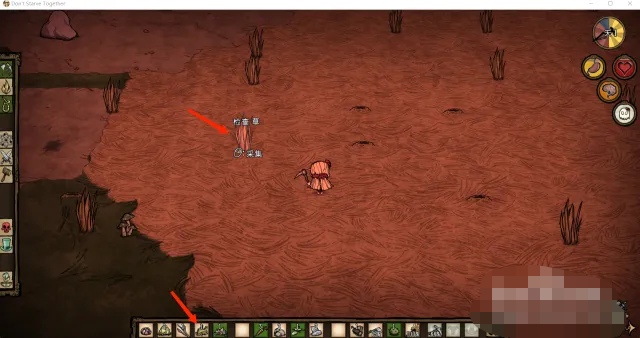 饥荒绳子怎么合成（绳子合成方法）