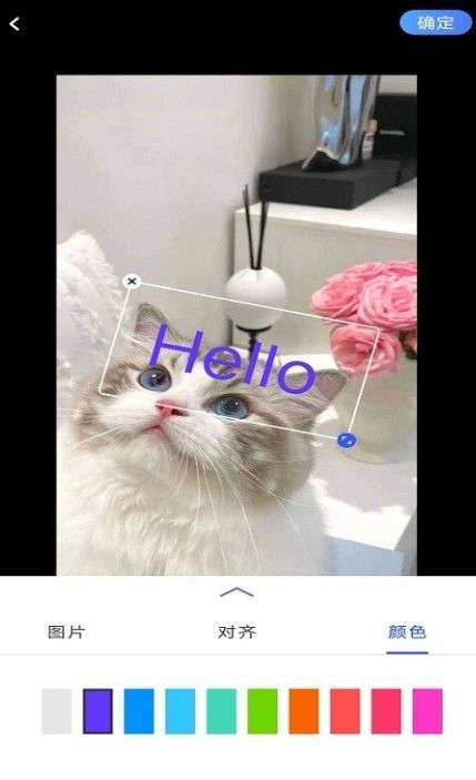 小猪翻译器ios免费下载