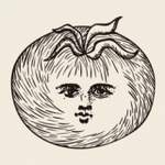 专注番茄下载安装安卓版本