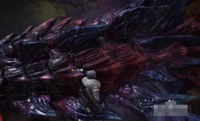 怪物猎人世界怎么捕获怪物（怪猎世界捕捉怪物的方法）