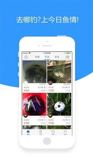 今日鱼情安卓下载