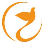 喜鹊喜报proapp最新下载