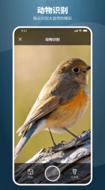 智能扫描全能王v1.0.0手机苹果下载