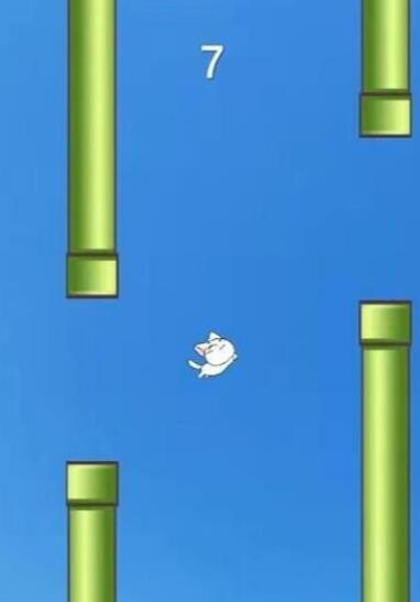 机智猫咪安卓官方版下载