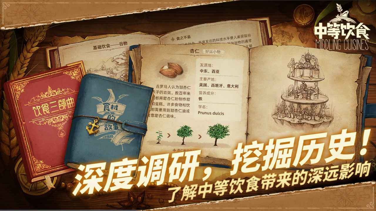 中等饮食ios版下载