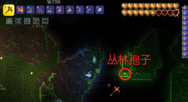 泰拉瑞亚丛林孢子怎么获得（丛林孢子获取方法）
