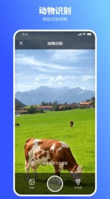 欢喜扫描王APP安卓版苹果手机版