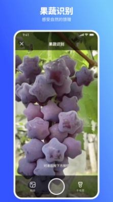 欢喜扫描王APP安卓版苹果手机版