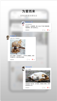 小它宠物下载安装2023