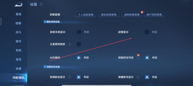 王者荣耀战绩可以删除吗（王者战绩隐藏方法）
