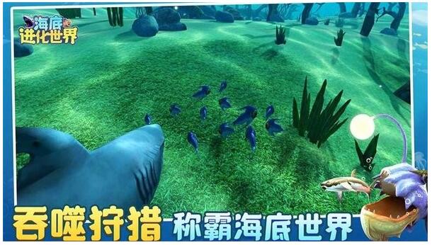 海底进化世界app无限金币最新版下载