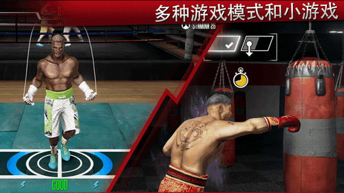 真实拳击22023下载安装