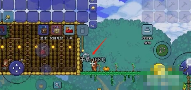 泰拉瑞亚干草怎么获得（干草获取方法）