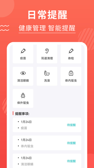 猫猫翻译器app最新版2023最新版下载