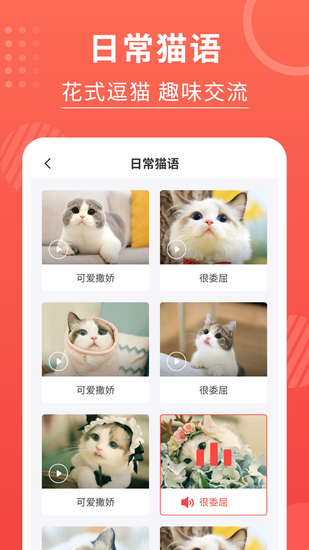 猫猫翻译器app最新版2023最新版下载