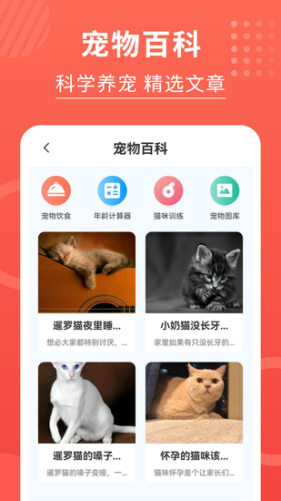 猫猫翻译器app最新版2023最新版下载