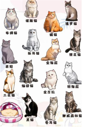 文字真相哈基米怎么过 文字真相哈基米通关攻略