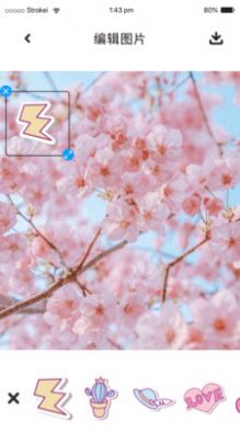 P图照片处理免费苹果版