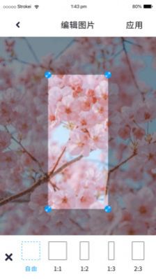 P图照片处理免费苹果版