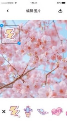 P图照片处理app手机ios版