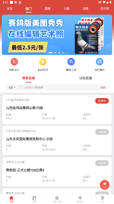 赛鸽头条安卓最新版下载