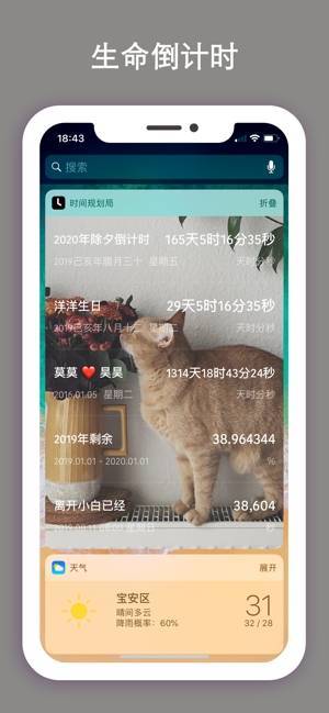 时间规划局安卓版2023下载