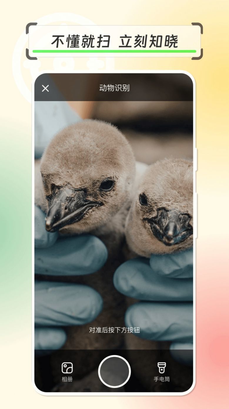 拍物轻松识苹果免费版