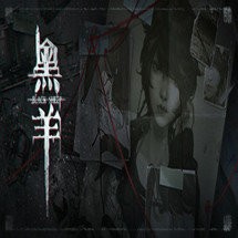 黑羊下载安装手机版