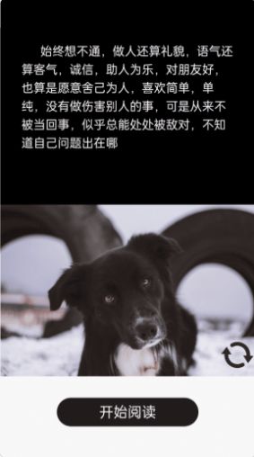 短知句子2023下载