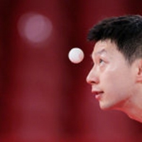 勇敢龙龙不怕困难安卓版最新版下载