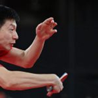 勇敢龙龙不怕困难安卓版最新版下载