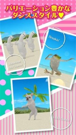 一个跳舞的羊驼免费下载安装