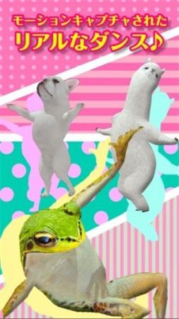 一个跳舞的羊驼免费下载安装