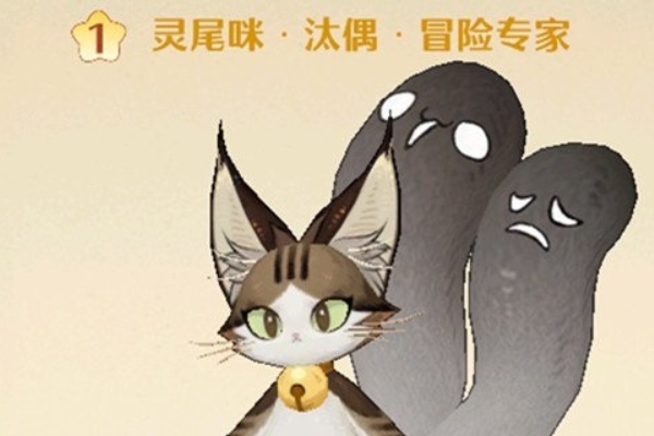 森之国度灵医金猫推荐