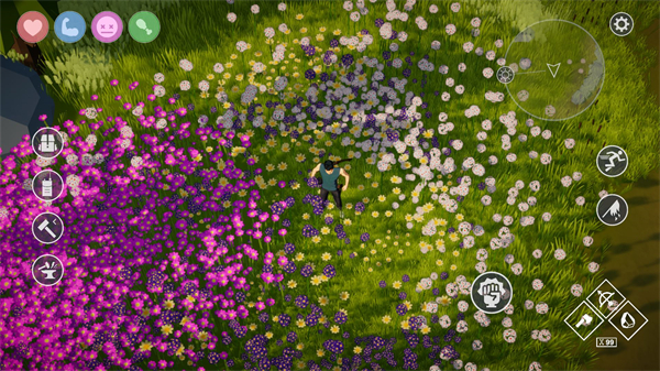 爱与荒野安卓版app下载